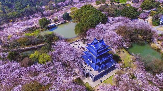 盘点全国最美春景 林芝花开成海 九寨沟美成天堂 故宫