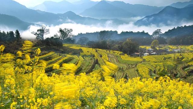 盘点全国最美春景 林芝花开成海 九寨沟美成天堂 故宫