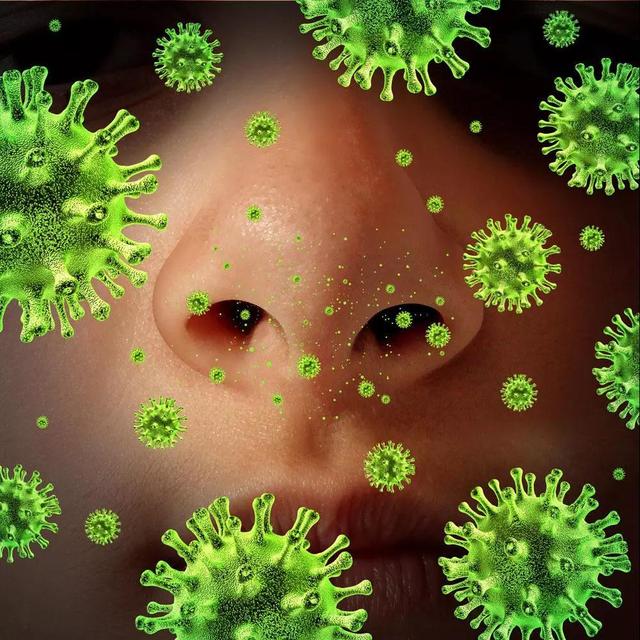 辽宁进入流感高发季eb病毒攻击人体只要10分钟官方回应