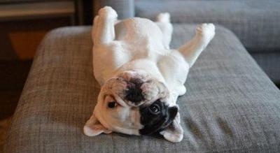 [大辽哥说]沈阳单身狗最不能忍的14件事儿!躺枪~_大辽网_腾讯网