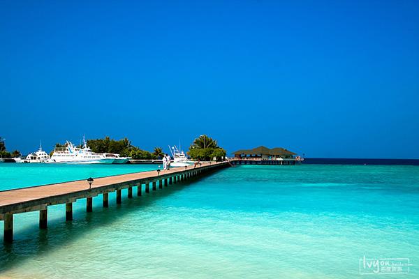 俗不可耐但必去的十大春节旅游目的地