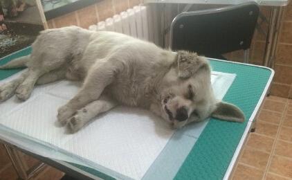 ͼƬ´ڴ򿪲鿴