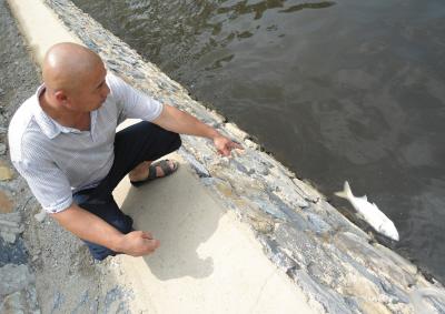 感觉农村里小沟和河流里的鱼越来越少,是什么因素影响