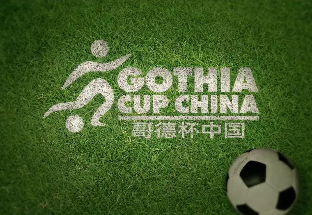 哥德杯中国世界青少年足球赛U17全球精英挑