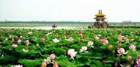 莲花湖湿地公园