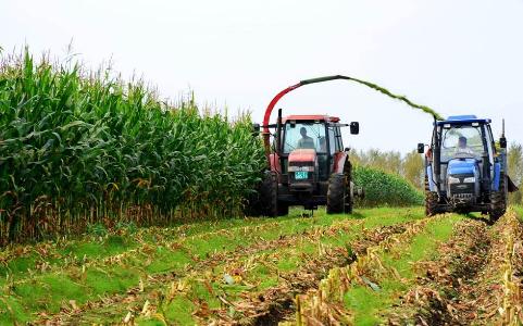 本溪县向农户发放耕地地力保护补贴2100余万