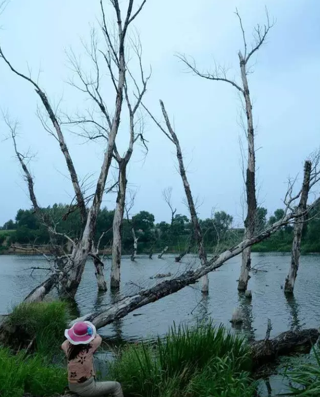 不单拥有粗犷， 大沈阳之水灵让江南人都惊呆了！