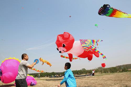 沈北风筝节开幕 千余形状风筝亮相_大辽网_腾讯网