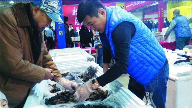 大连跌破米饭每斤价格圈养50元为3年来最低海参调味品知乎图片