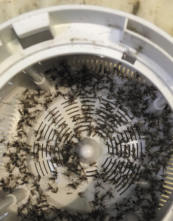 灭蚊灯排行_农民造灭蚊灯,一晚捉5万蚊子,年赚6000万