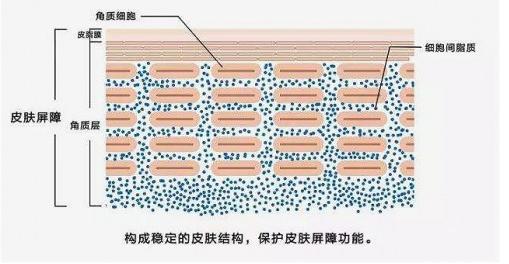 修复皮肤屏障方案，奥洛芙oloffe护肤品性价比完胜