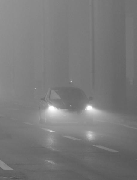 大连昨日遇强浓雾天气 局部能见度不足50米