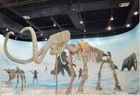 盘点沈阳各大高校的博物馆_大辽网_腾讯网