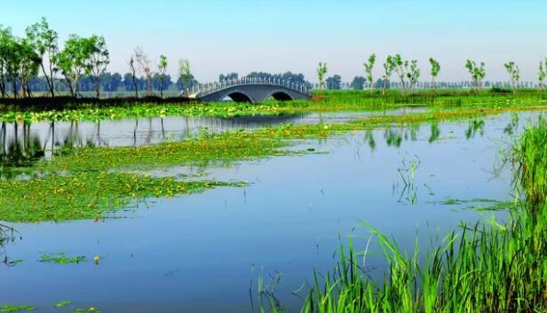 湿地美景画不尽,人鸟都在画里头 铁岭莲花湖国家湿地公园是国家aaaa级