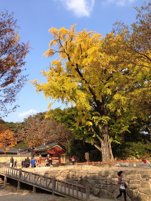 山神勒寺,登临古刹眺望"秋水共长天一色"的江景在韩国可是不可多得的