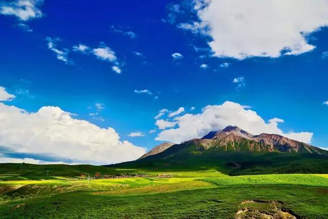 大好山河 中国最美的六个草原
