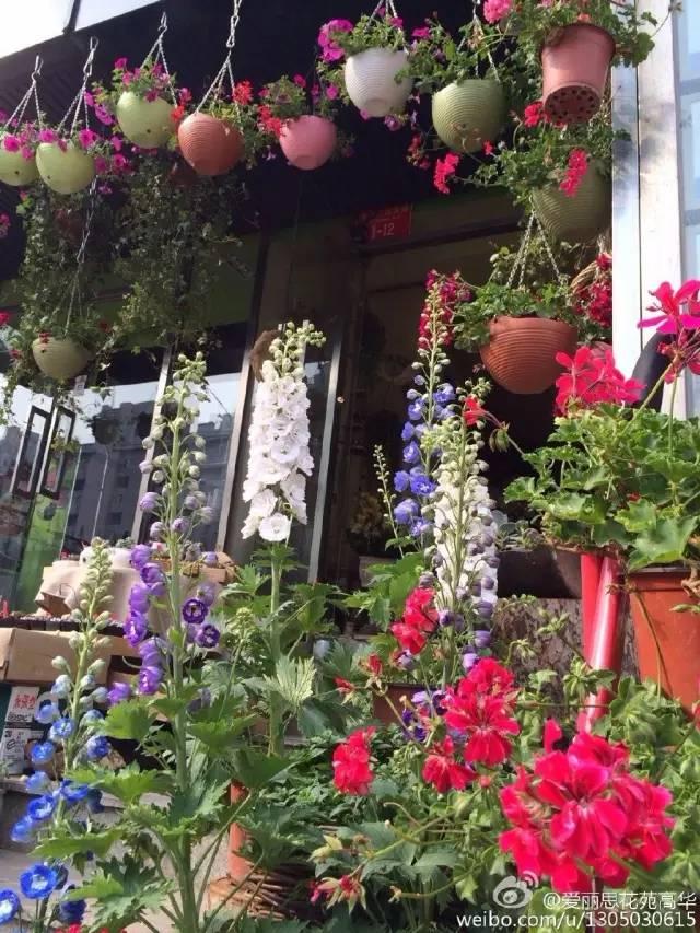 10间北京最美花店 采撷不一样的春天花事_大辽网_腾讯网