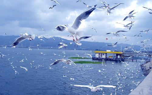 国内冬季旅游必去的10大美景地_大辽网_腾讯网