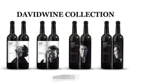 西班牙DAVIDWINE以更绅士优雅的贵族礼节致