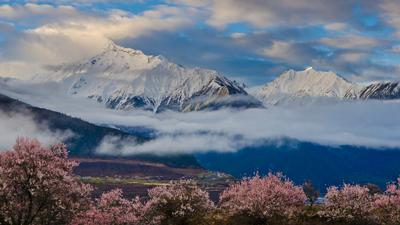 西藏最高的海拔是哪里的 129043074.jpg