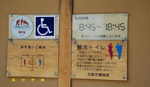 生存方舟进化秘籍_方舟秘籍_方舟进化生存单机秘籍