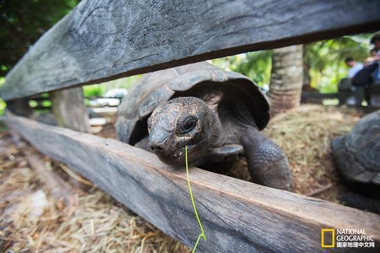 与生殖崇拜的塞舌尔来一次亲密接触