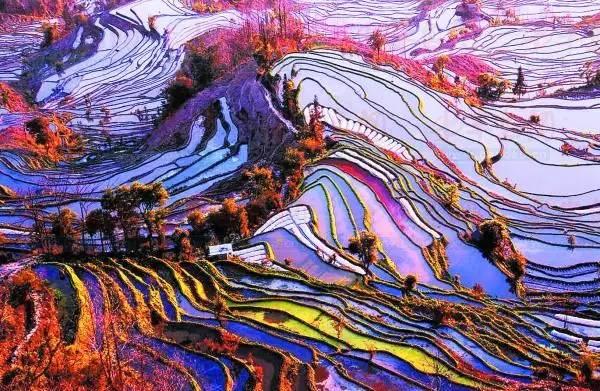 最美梯田 水墨大师勾勒出行云流水的线条_大辽网_腾讯网