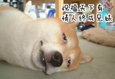 [大辽哥说]这届单身狗不行!相亲角没大辽哥给力