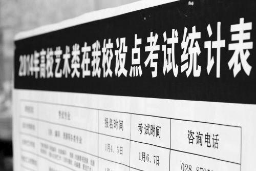 辽宁艺考拉开序幕 考生单手劈砖展才艺