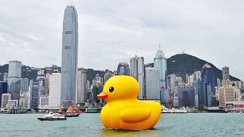 鸭子港人口_鸭子卡通图片(3)