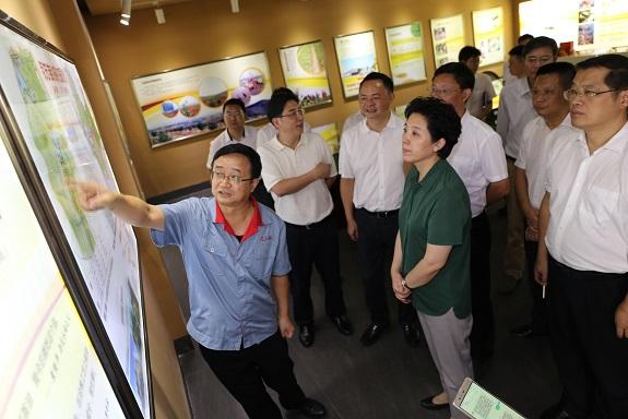 衡阳晚秋秋意浓 大三湘第五届油茶花节火热进