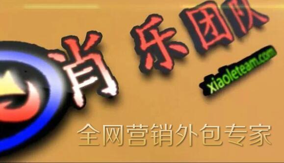 肖乐团队一站式网络营销外包专家
