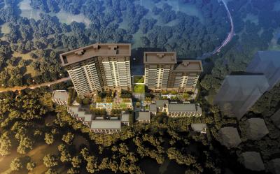 大连:聚焦全市大项目建设 推动经济高质量发展