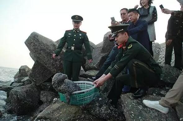 东港一渔民在捕鱼时 竟然抓到了这种生物