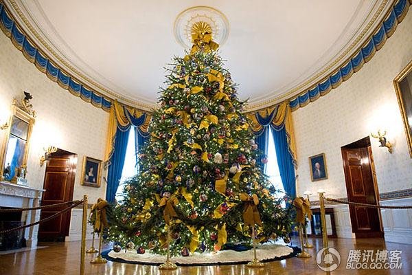 今年白宫圣诞树有何不同?_首页推荐-奢华前沿