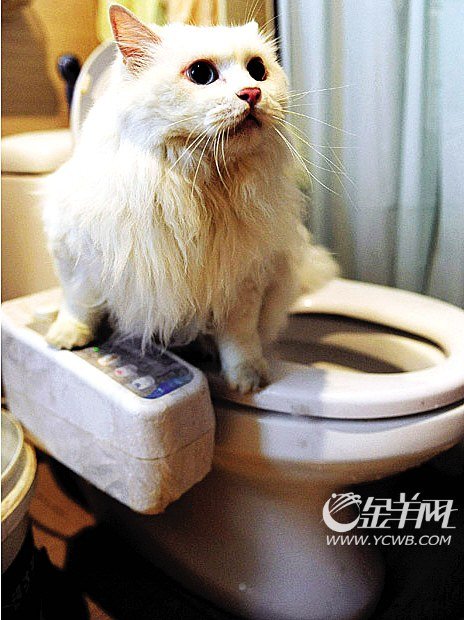 2009年当之无愧的最雷人发明