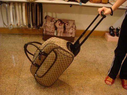 How to save my famous bag?