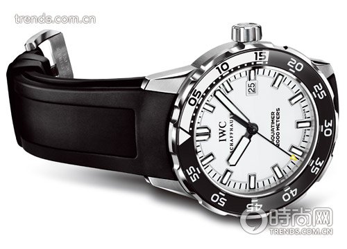 IWC 2010 Ocean Watch Clock 2000