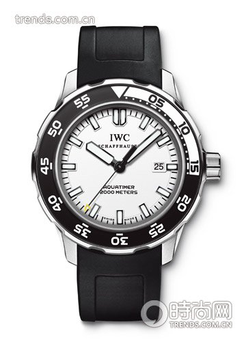 IWC 2010 Ocean Watch Clock 2000