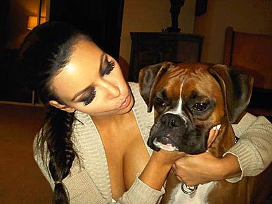 Micro- star fashion show, private pet Partners