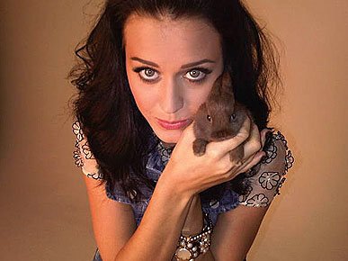 Micro- star fashion show, private pet Partners