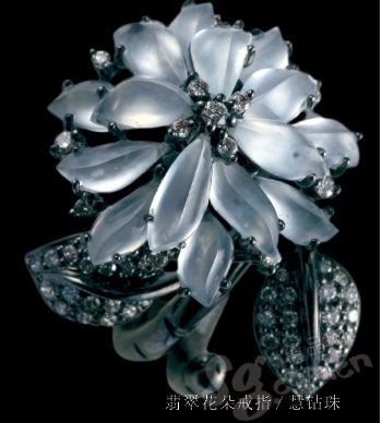 Encounter "ice "beauty