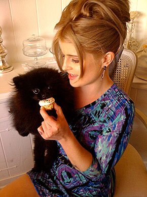Micro- star fashion show, private pet Partners