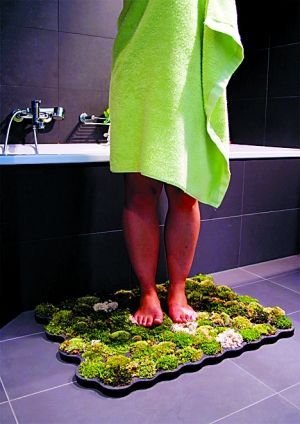 To really ask you to reject low-carbon fashion on
