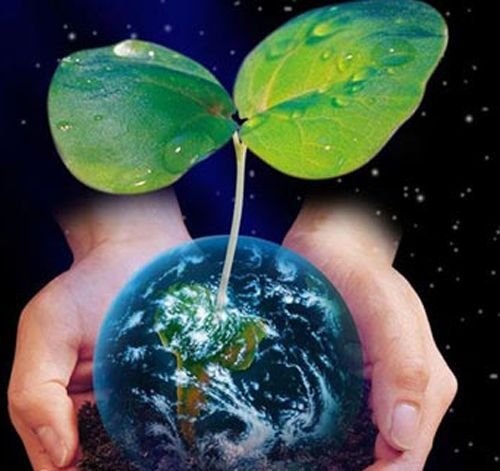 To really ask you to reject low-carbon fashion on