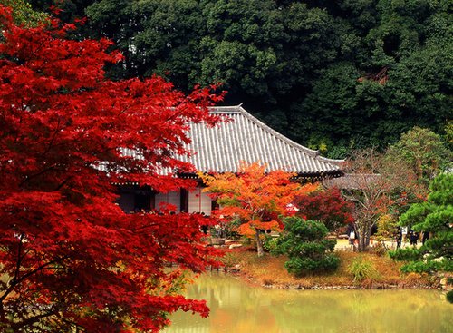 京都:寻找记忆中的一休哥_南京康辉旅行社一新