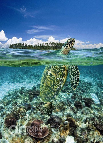 Oman : Gulf side of the elegant country