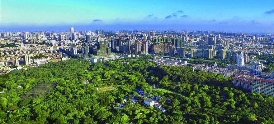 中国将建6个国家级森林城市群