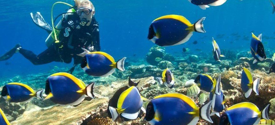 马尔代夫获全球最佳潜水目的地