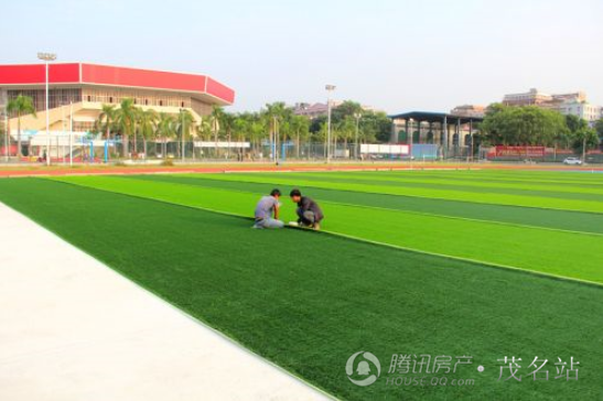 市体育中心足球场进入人工草皮铺设阶段